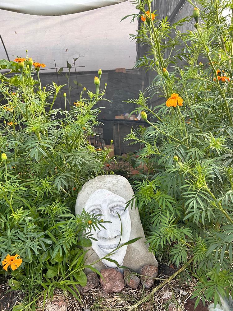 World School Mexico (1)