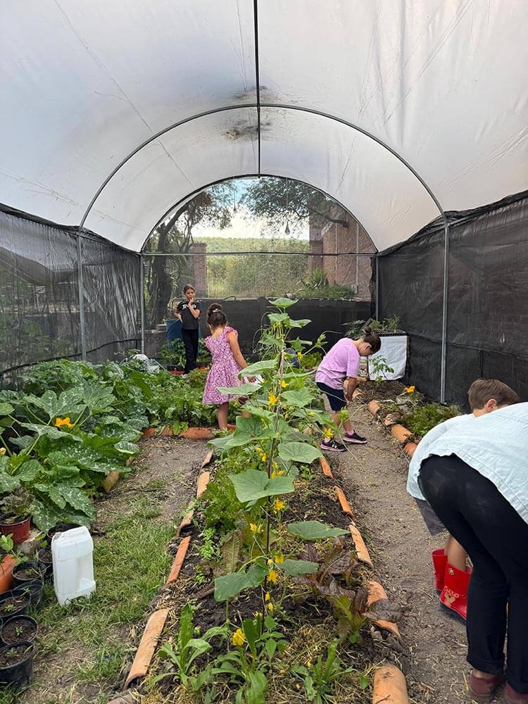 World School Mexico (6)