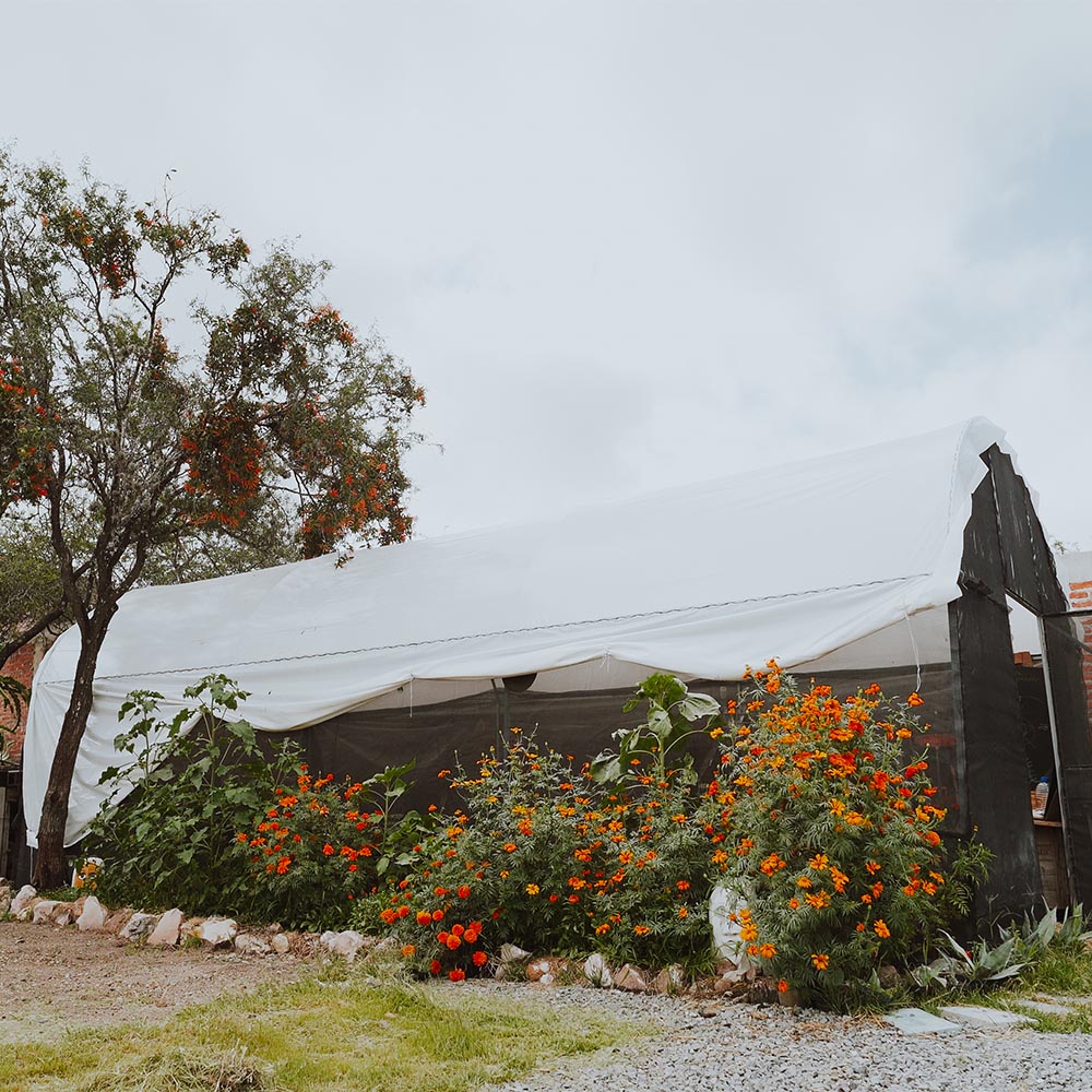 Worldshool Mexico San Miguel de Allende (2)