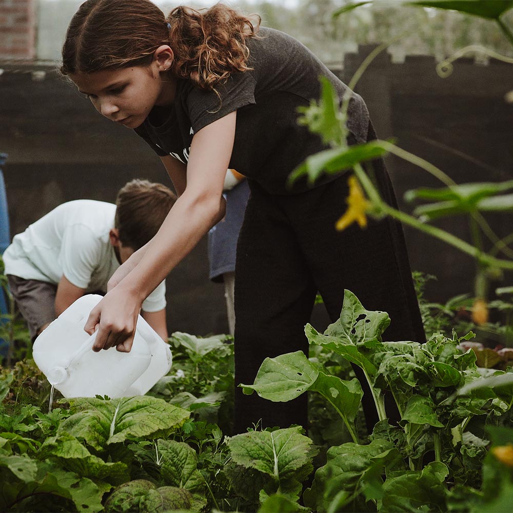 Worldshool Mexico San Miguel de Allende (8)