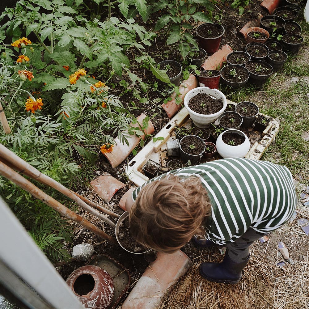 Worldshool Mexico San Miguel de Allende (9)